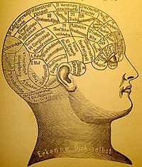 Les mots de l'Empire