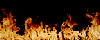 Feu