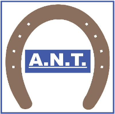 Logo ANT