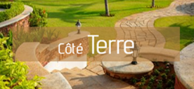 Terre