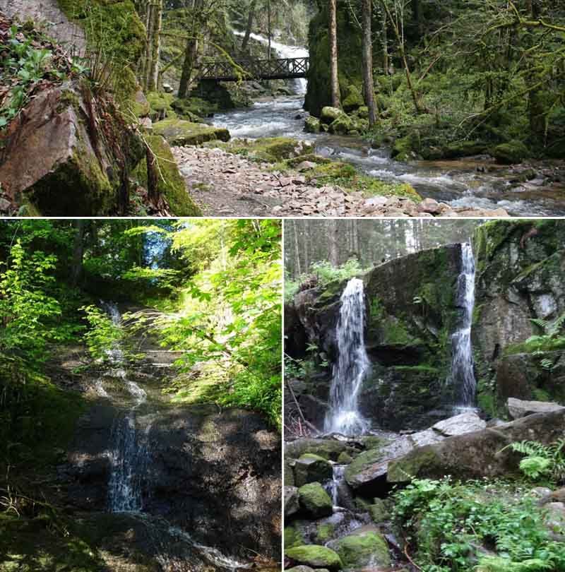 Fond-d-ecran-Vosges-2