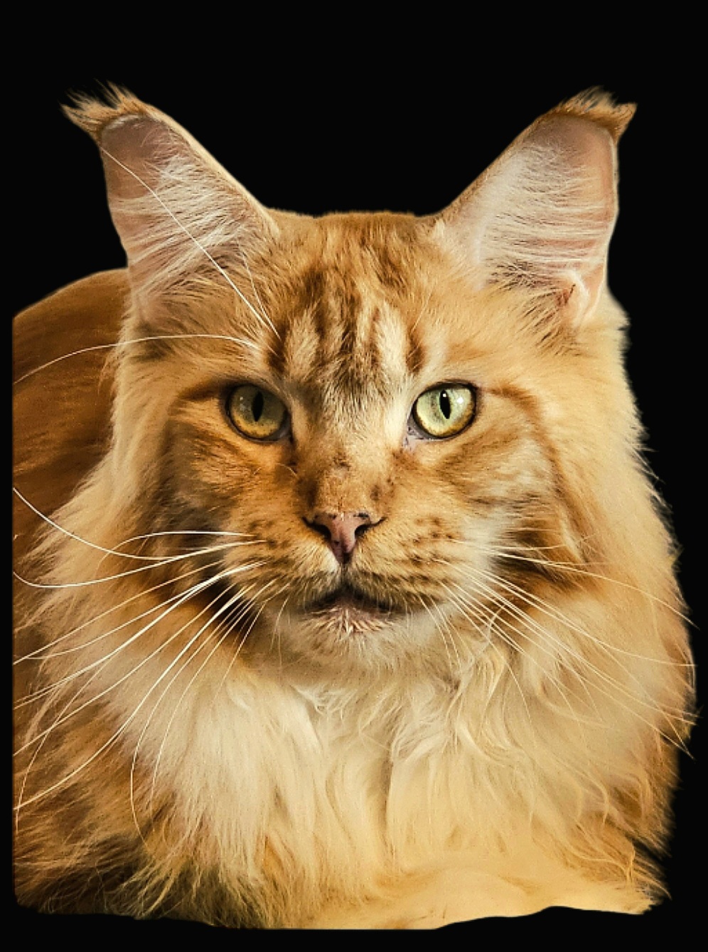 Screenshot 20251107 235747 Chrome