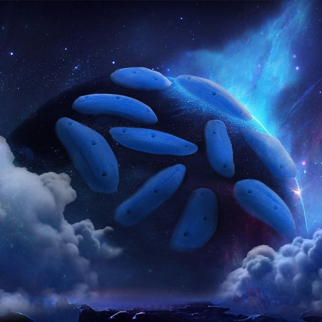 361511418 1306176733439148 2518807085405367988 n