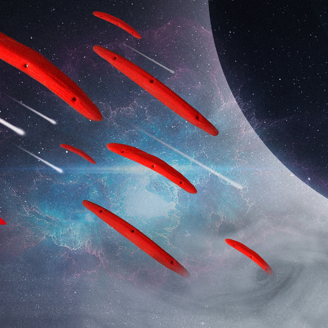 369558802 988792989210551 3823937112431290113 n