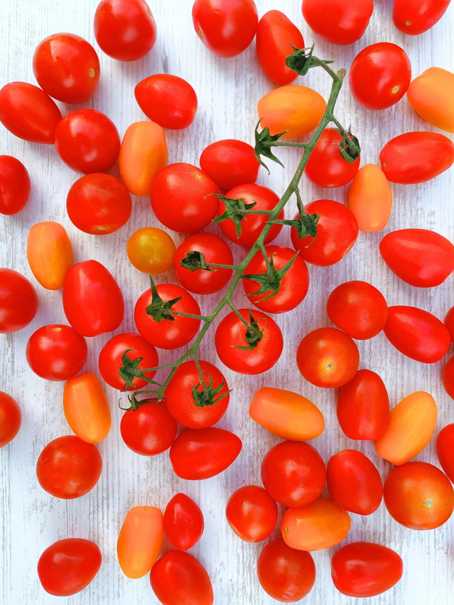 Tomates cerises rondes et allongées, rouges et oranges