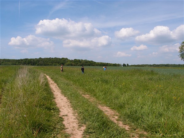 P5182800