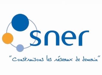 Sner