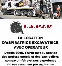Tapir
