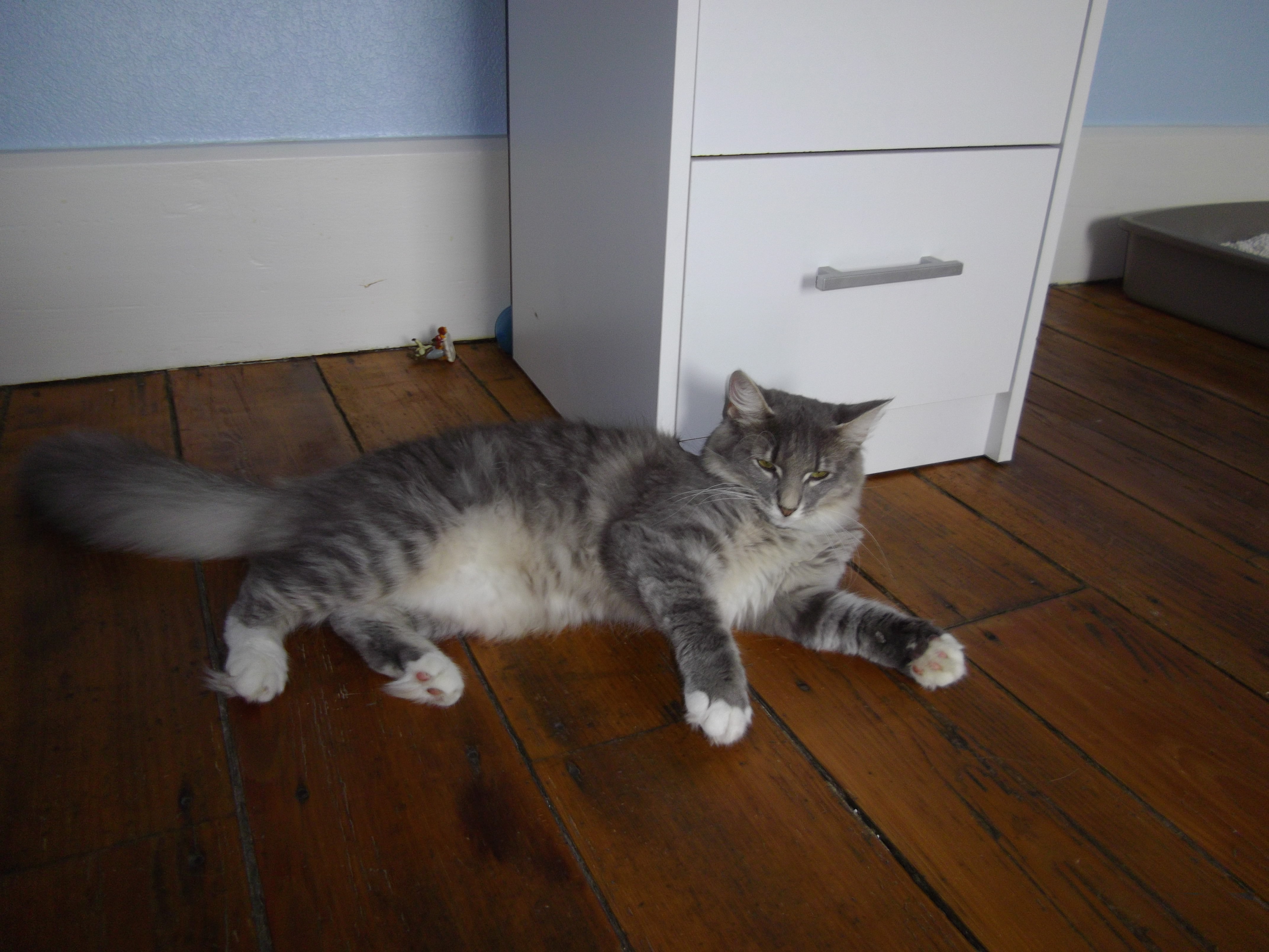 Imgp5764