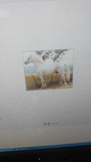 Img 20250416 wa0013