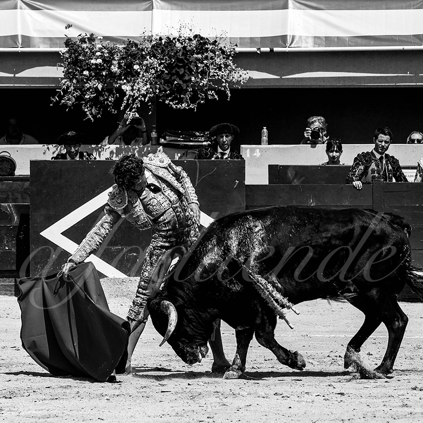 20220618 istres nov 001