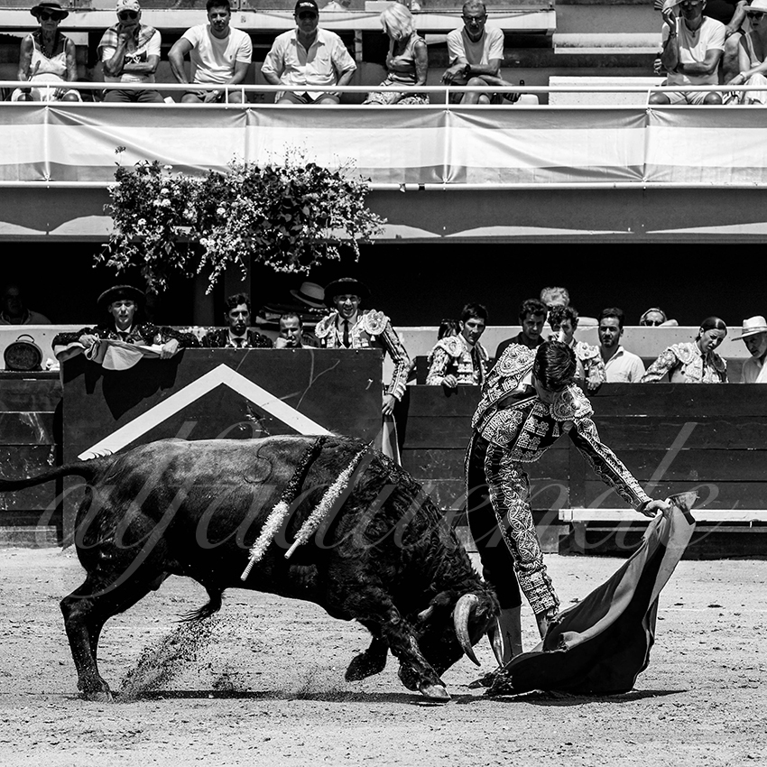 20220618 istres nov 006