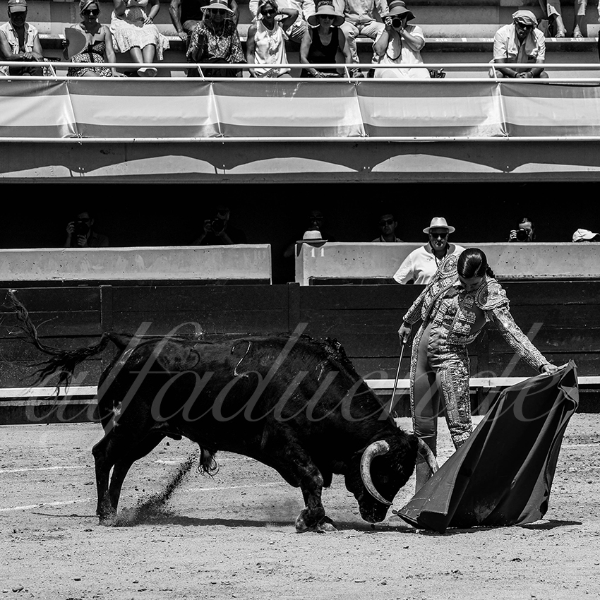 20220618 istres nov 008