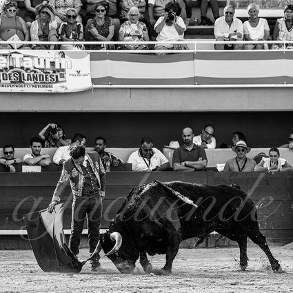 20220619 istres apres midi 011