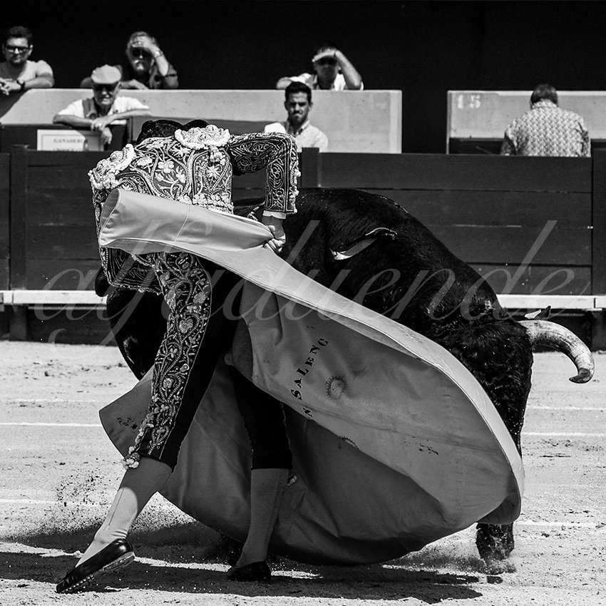 20220619 istres matin 005