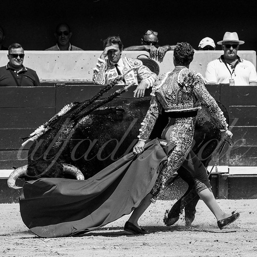 20220619 istres matin 007