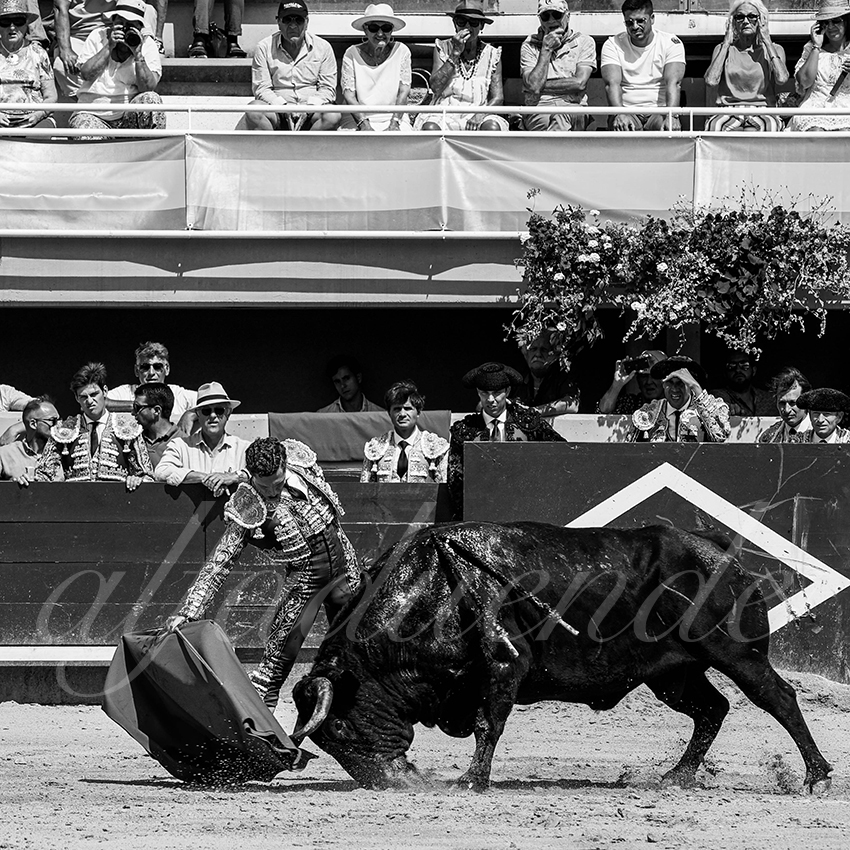 20220619 istres matin 009