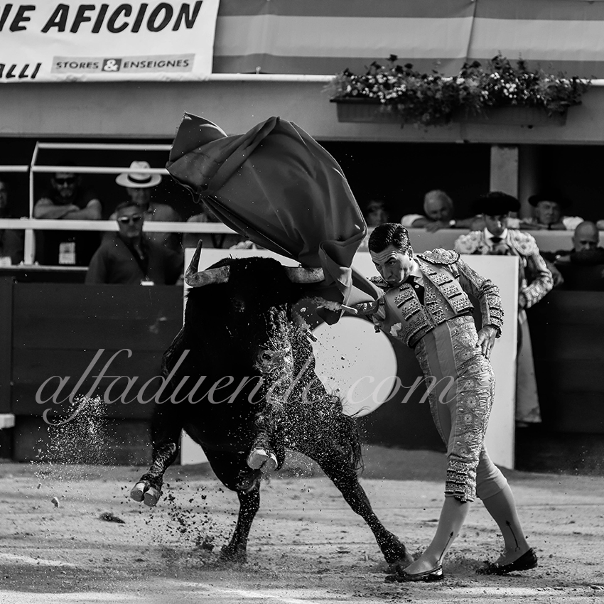 Img 1259 istres 20190615 04 copie