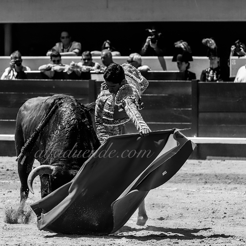 Img 3321 istres 20190616 matin08 copie