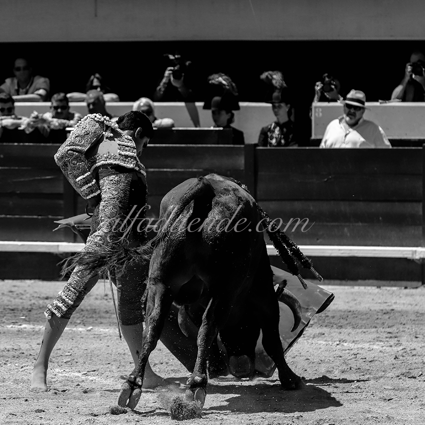 Img 3318 istres 20190616 matin07 copie