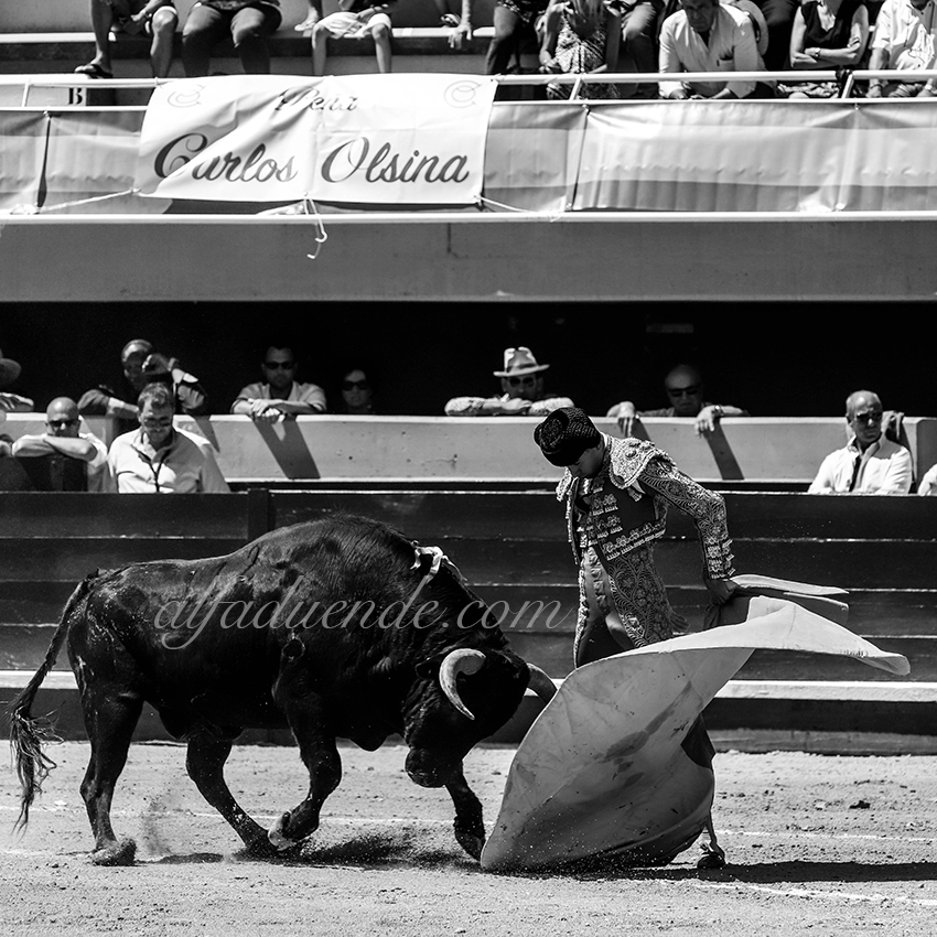 Img 3096 istres 20190616 matin04 copie