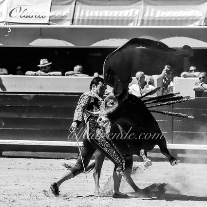 Img 2917 istres 20190616 matin03 copie