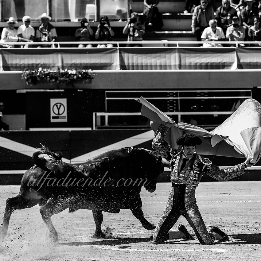 Img 2698 istres 20190616 matin02 copie