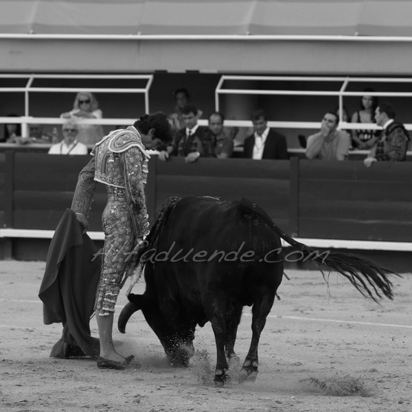 Istres 20170625 aprem 12