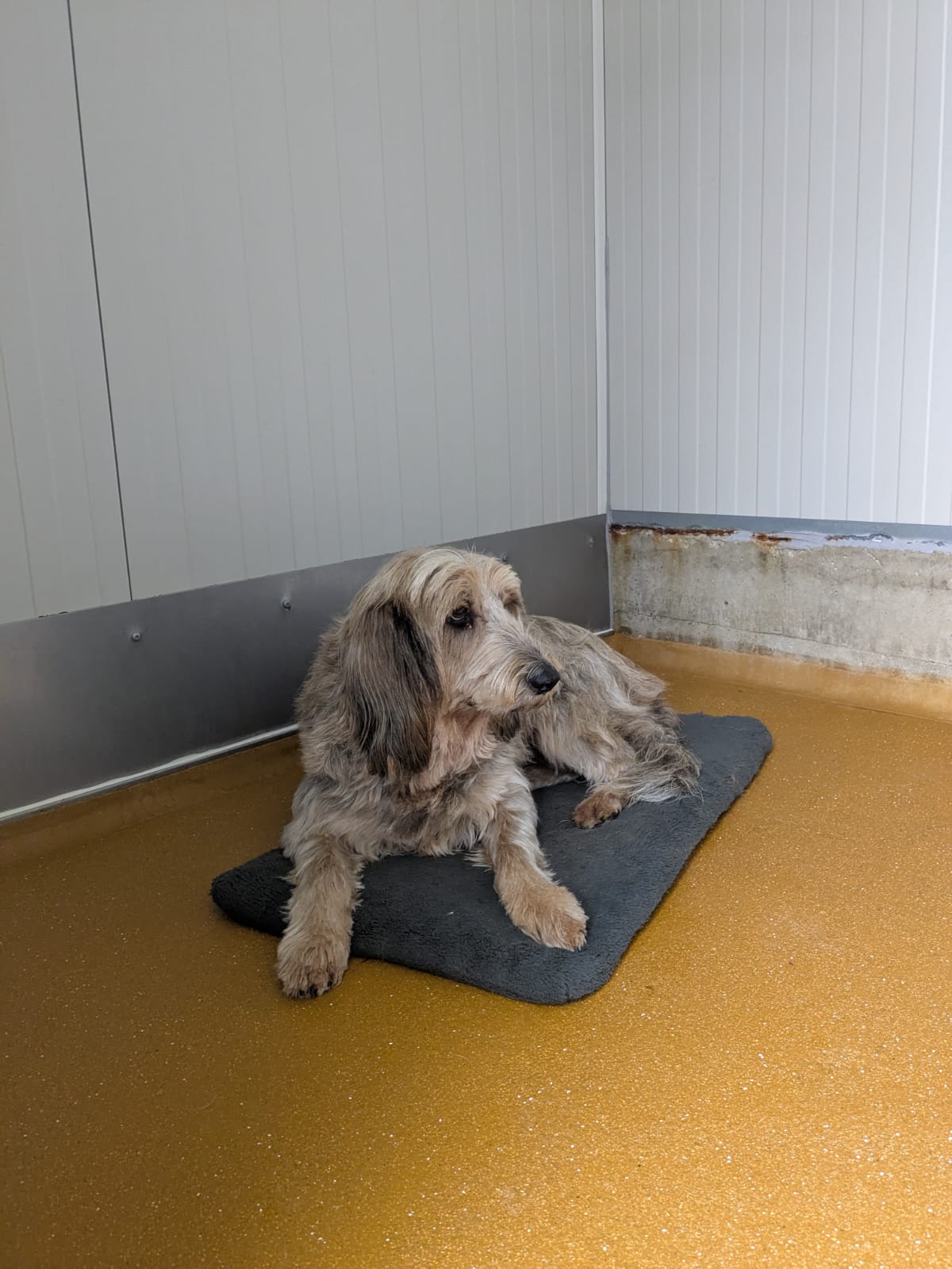 Whatsapp image 2025 06 12 at 09 58 33