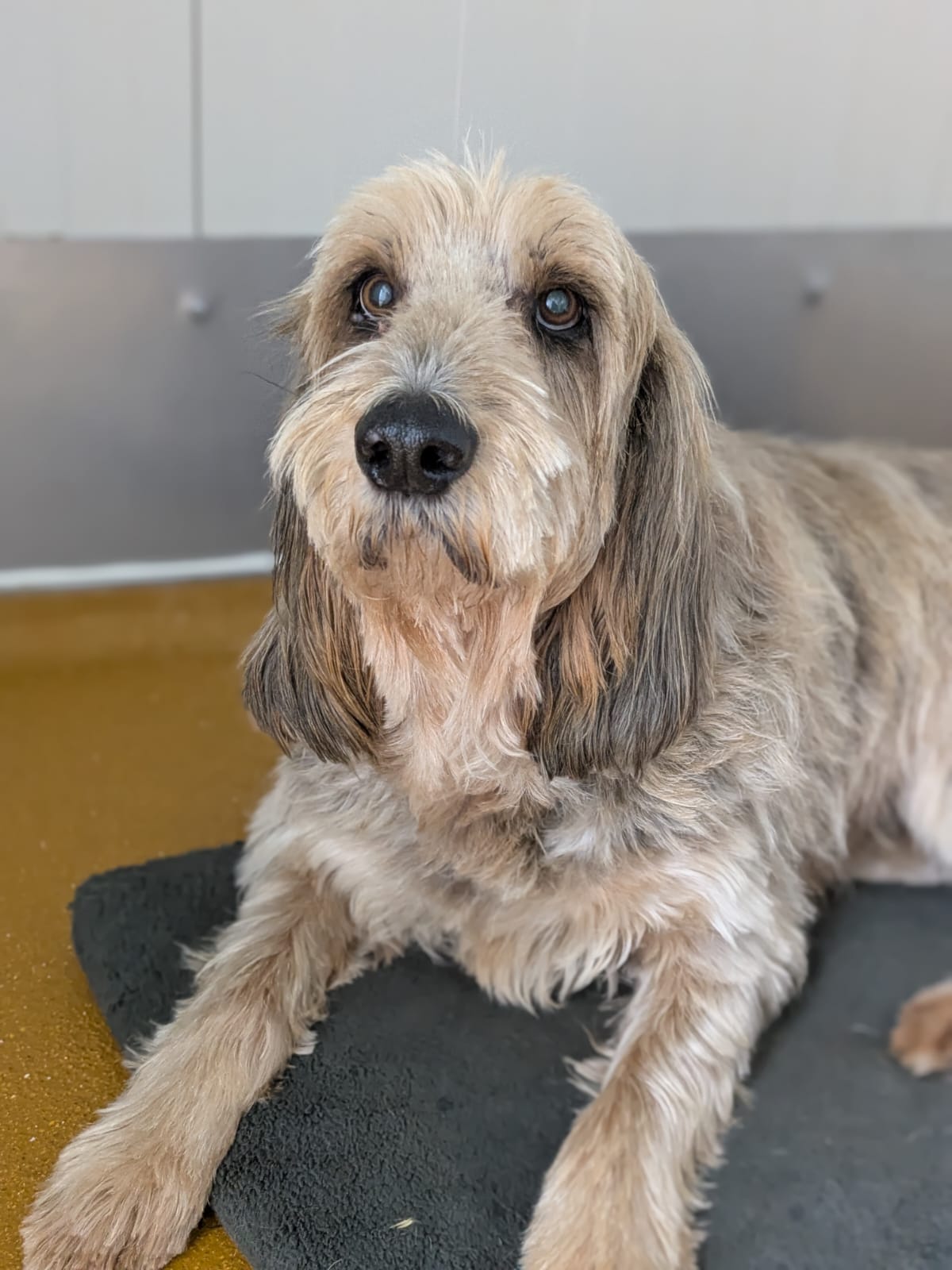 Whatsapp image 2025 06 12 at 09 58 33 1 