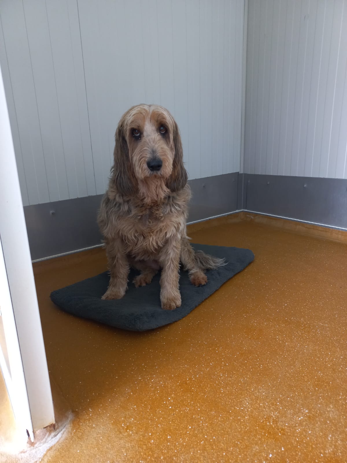 Whatsapp image 2025 06 13 at 16 36 35