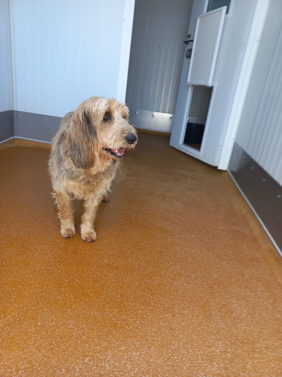 Whatsapp image 2025 06 13 at 16 36 27 1 