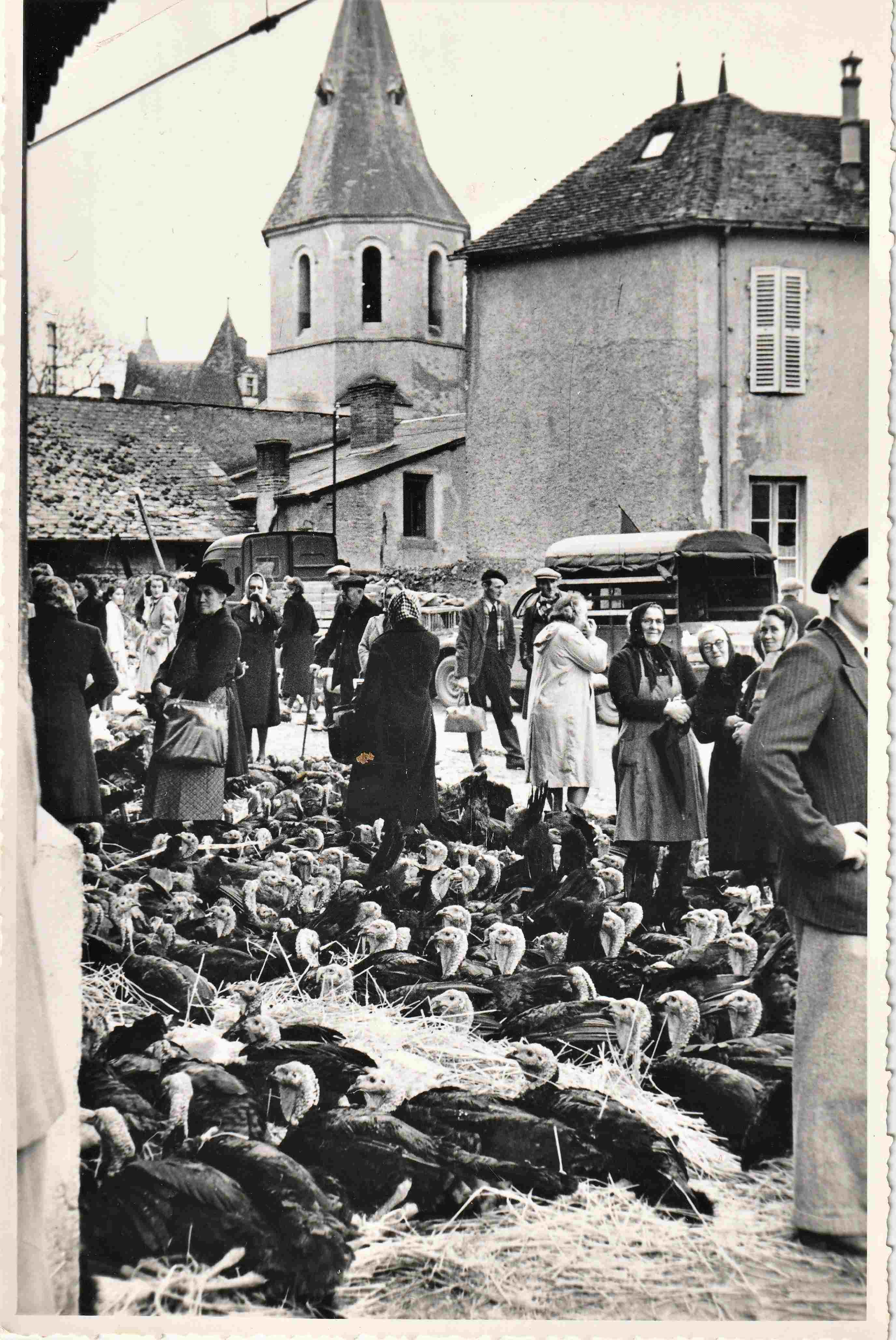 Foire aux dindes photo j richard 39 av pasteur 70 av victoria vichy