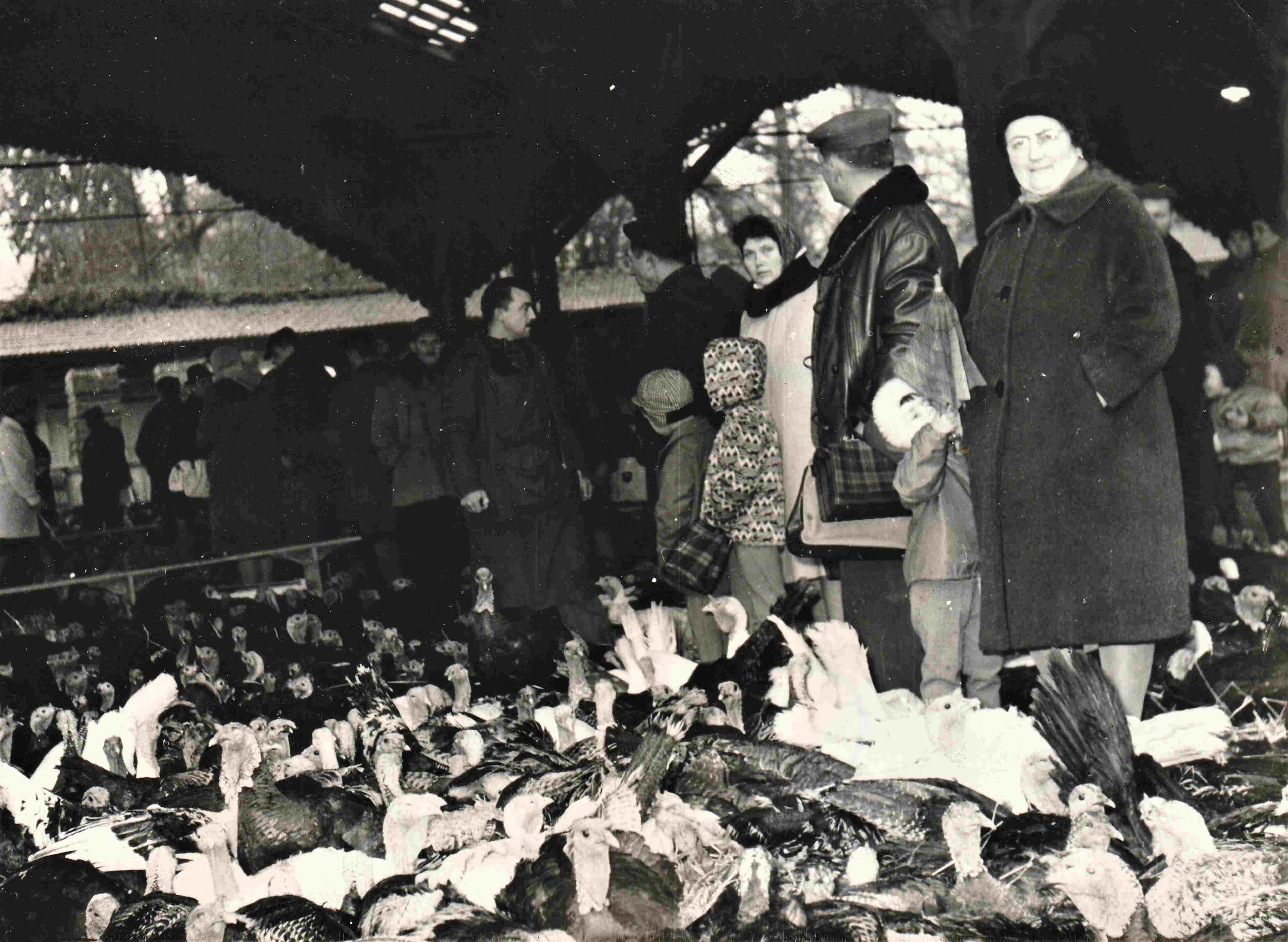 Foire aux dindes avec enfants veignant 