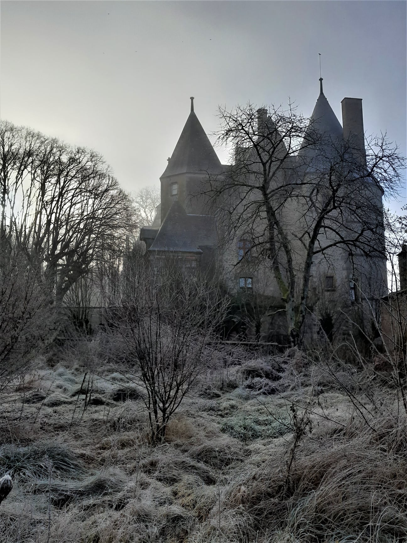 Grive autour du chateau de jaligny