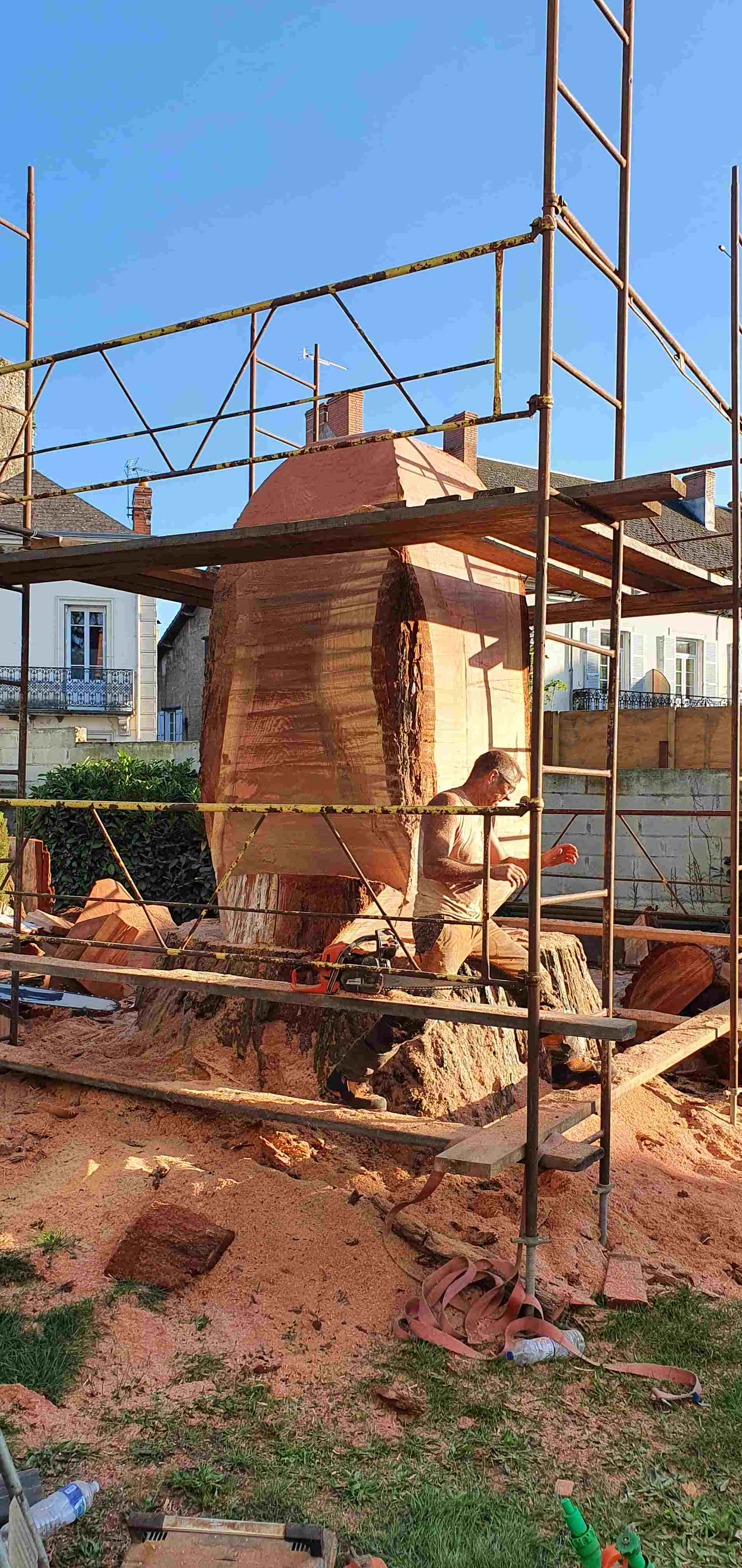 Taille sequoia 2 