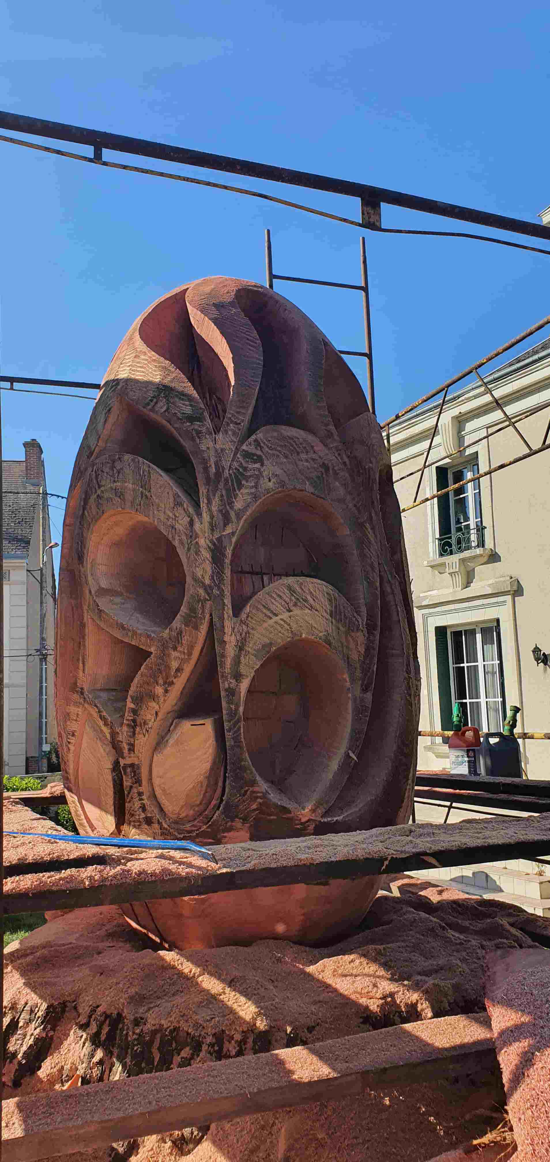 Taille sequoia 4 