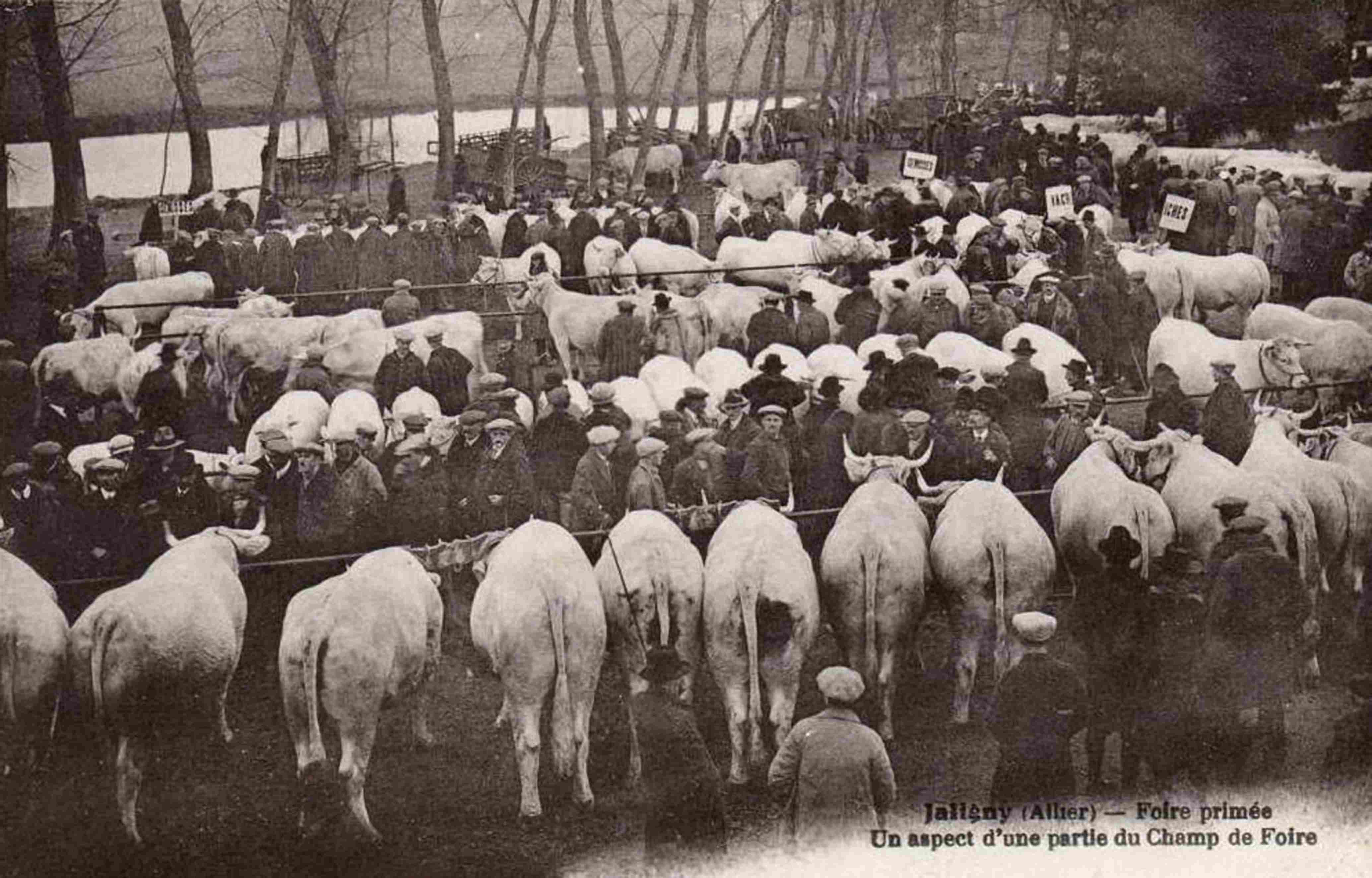 12 foire de jaligny