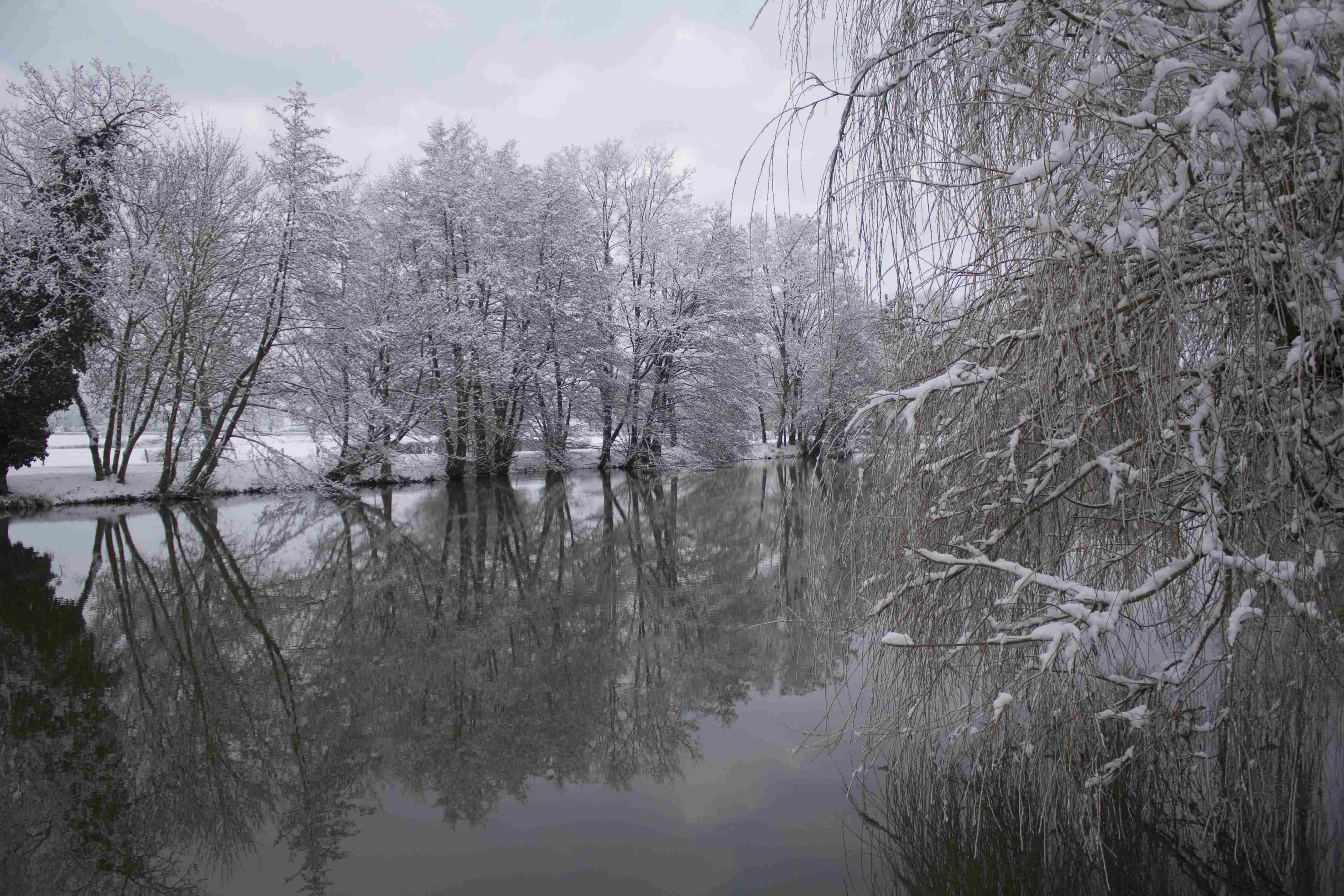 Neige 2010 15