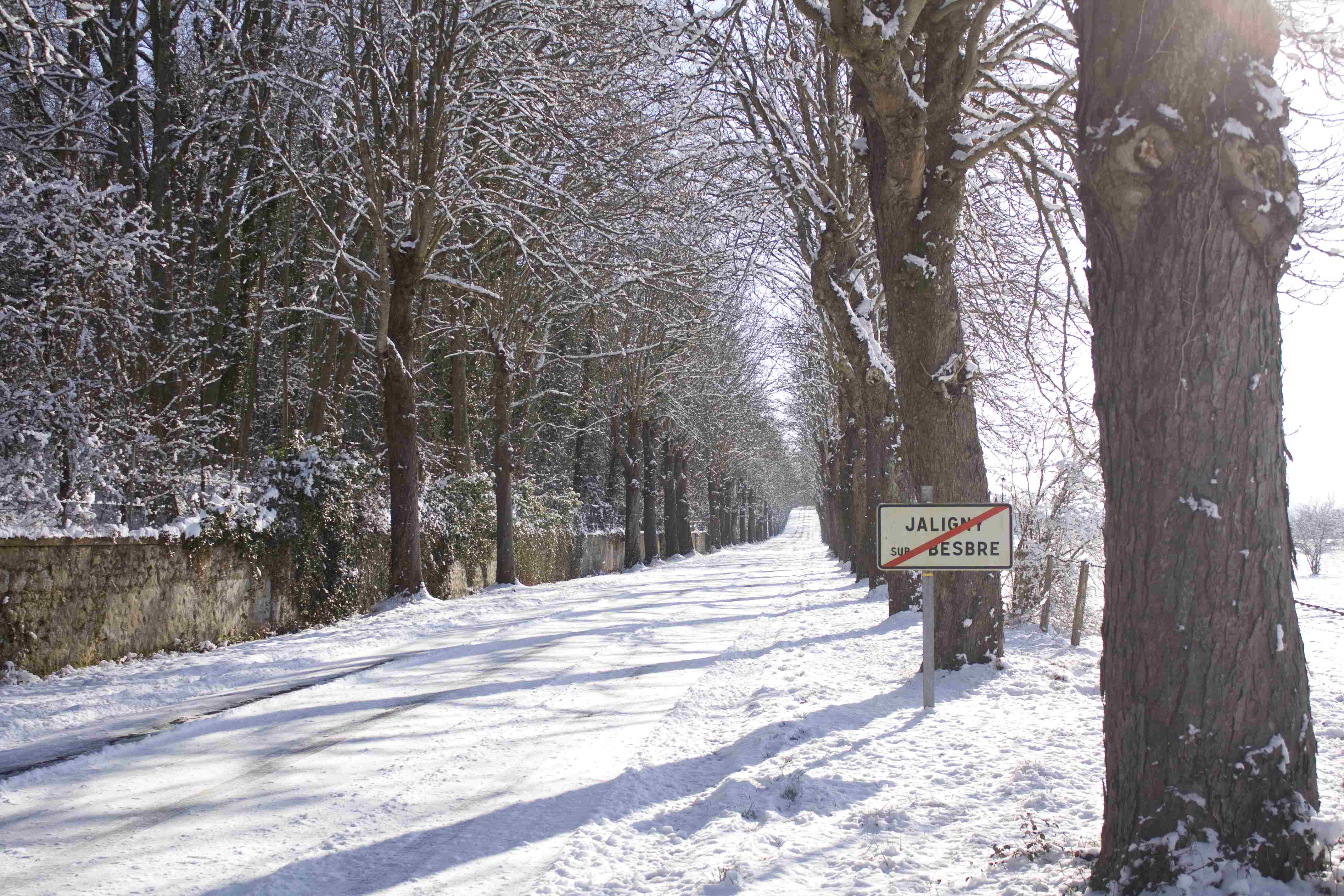 Neige 2010 26