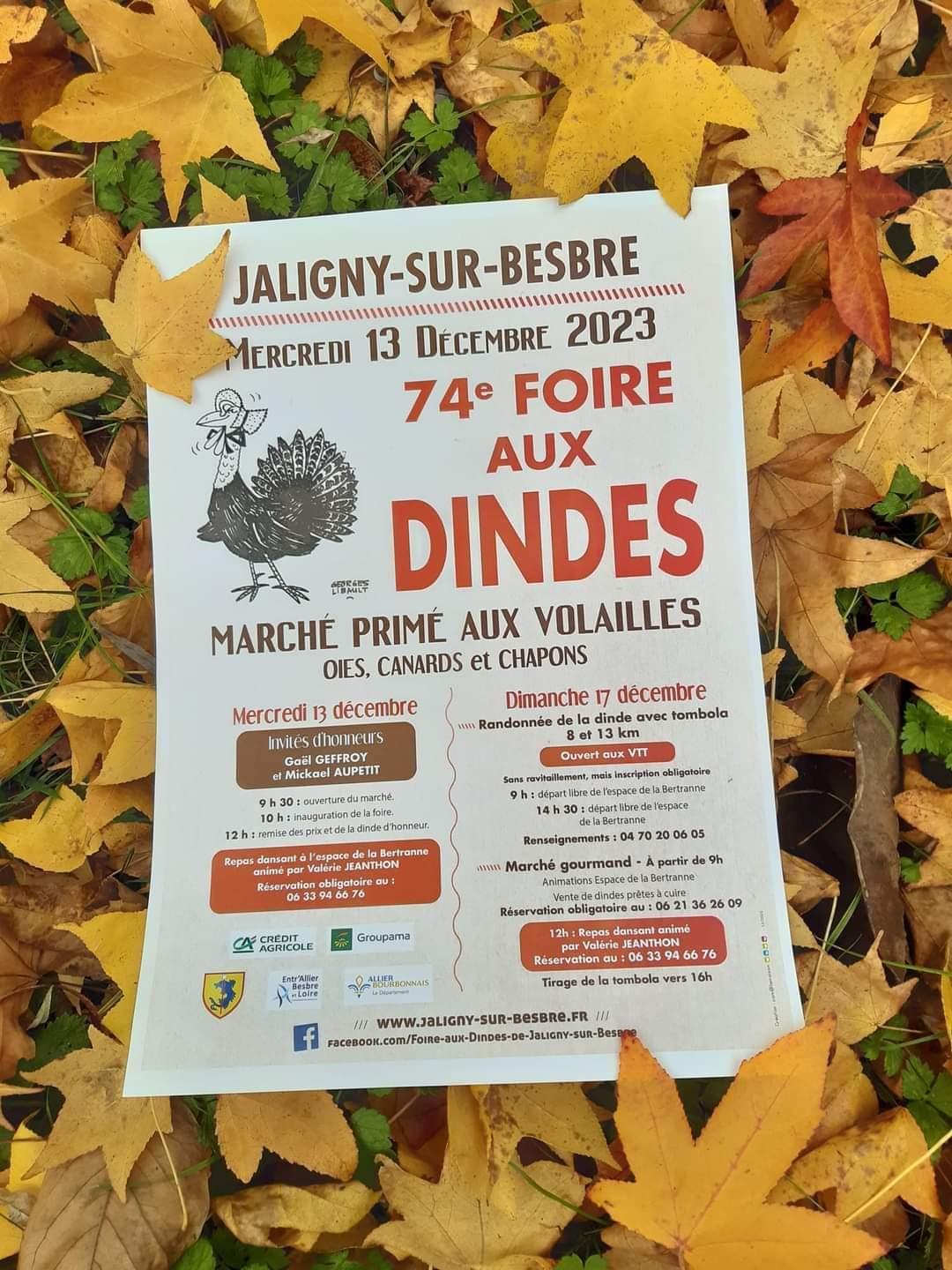 Affiche