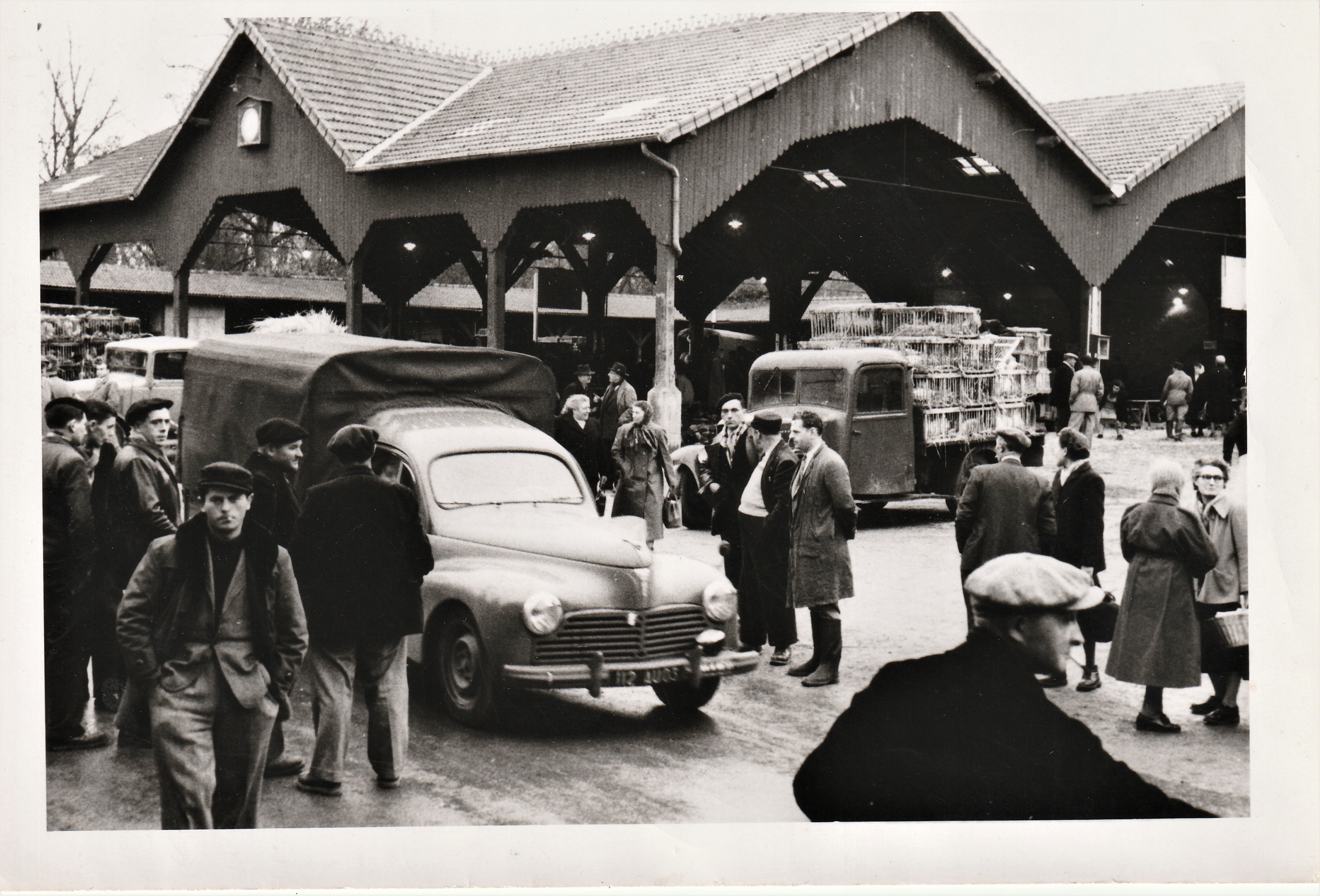 Marche couvert photo mougins revil gabet azoulay reportage photographique 8 rue president roosevelt vichy
