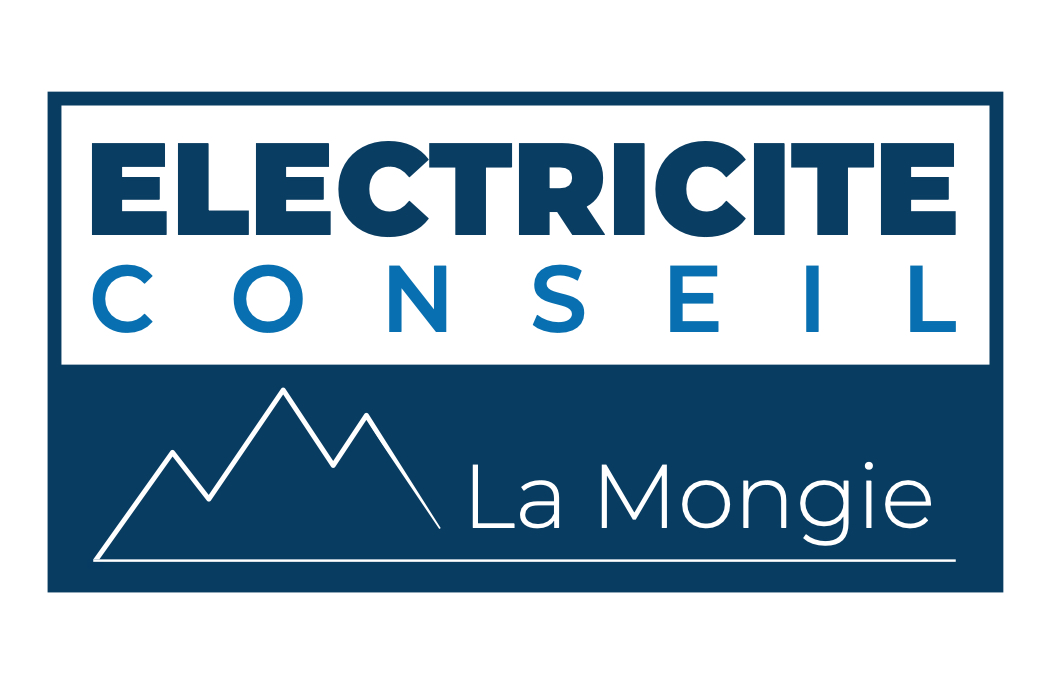 Carte de visite elec conseil recto print