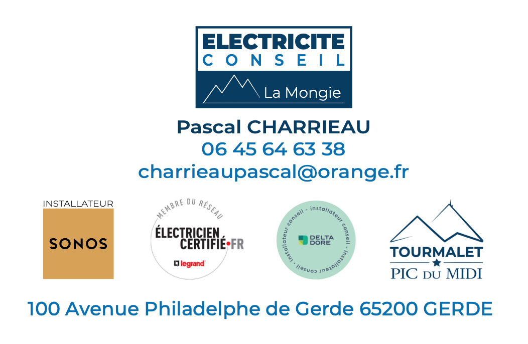Carte de visite elec conseil verso print