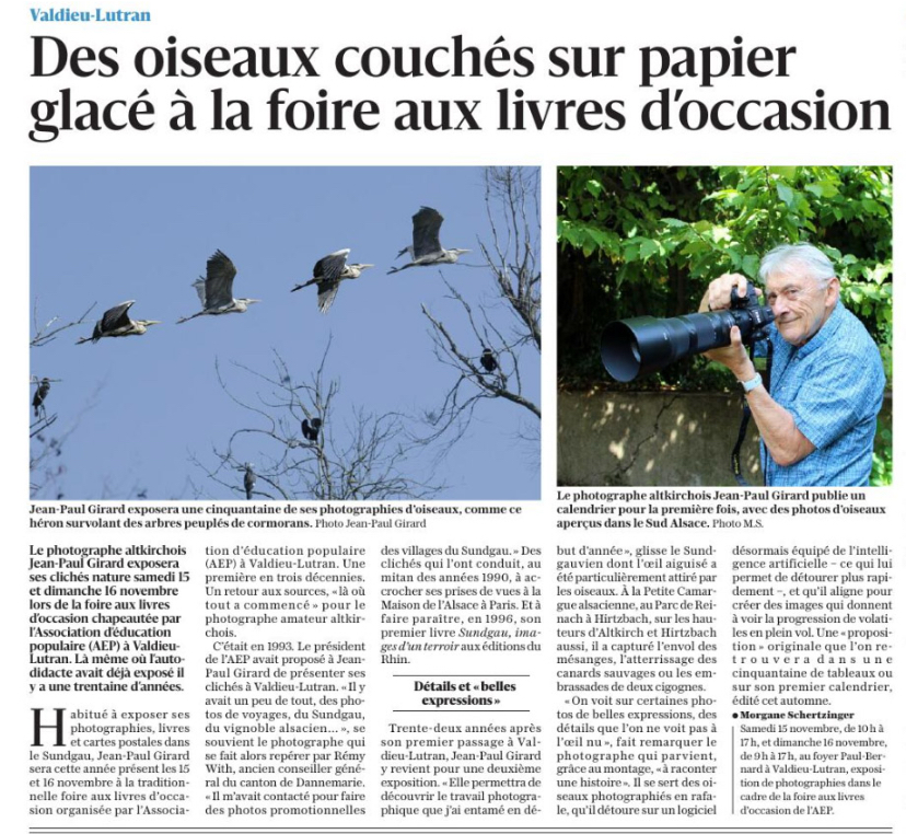 2025-11-08 Des-oiseaux-couches-sur-papier-glace-a-la-foire-aux-livres-d-occasion