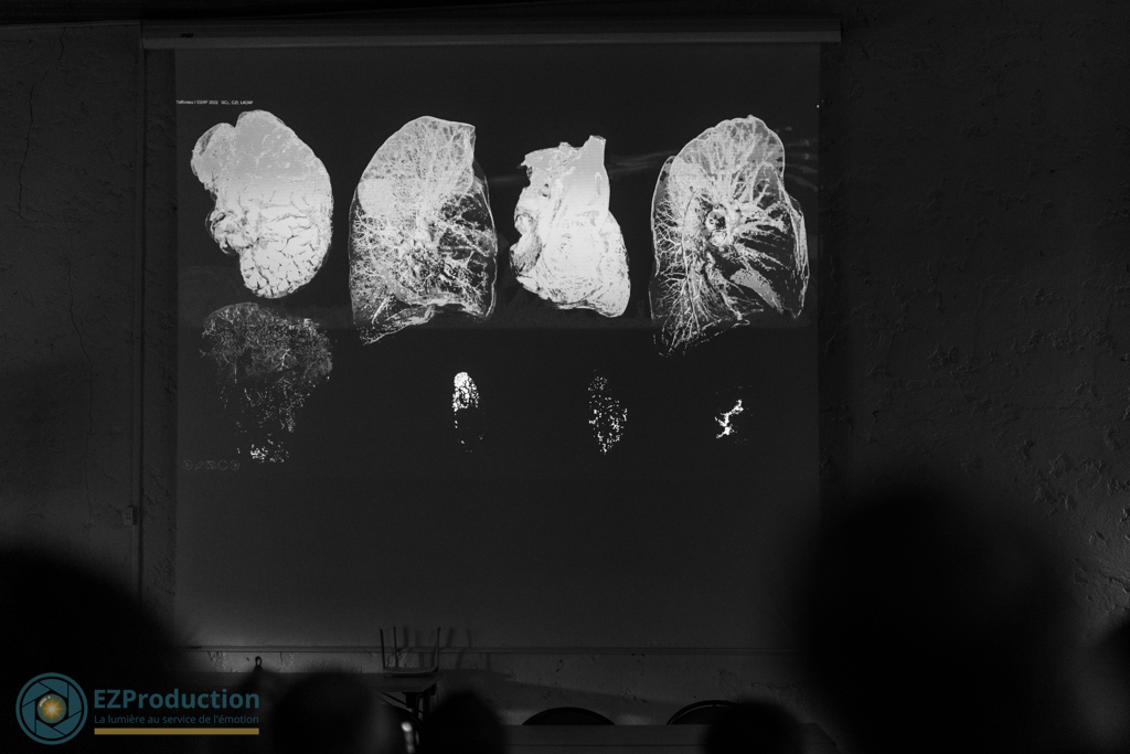 Evenement 02 l imagerie avec nos yeux avec l ia 20 