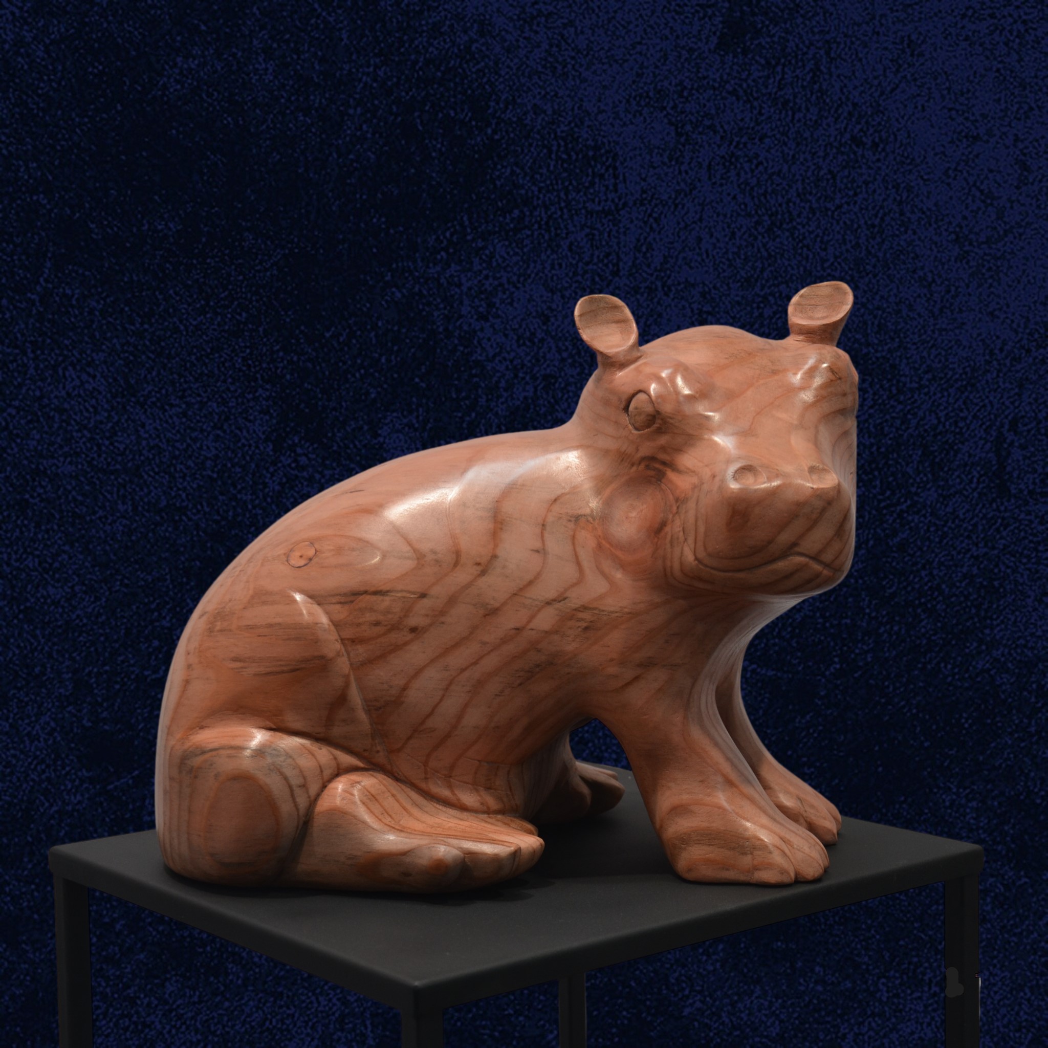 Bebe hippopotame bleu