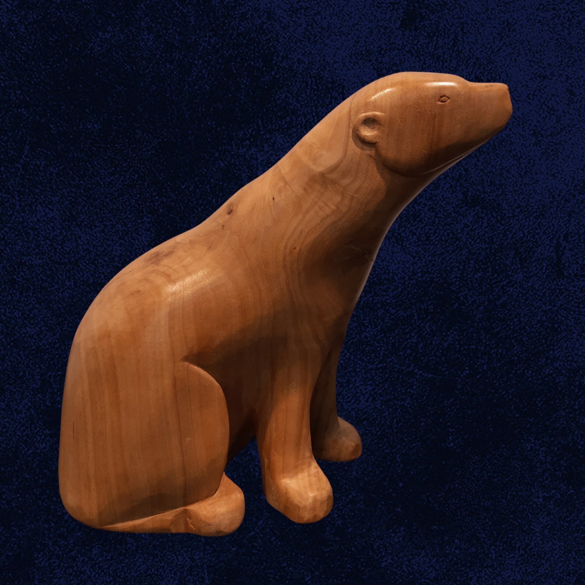 Ours bleu