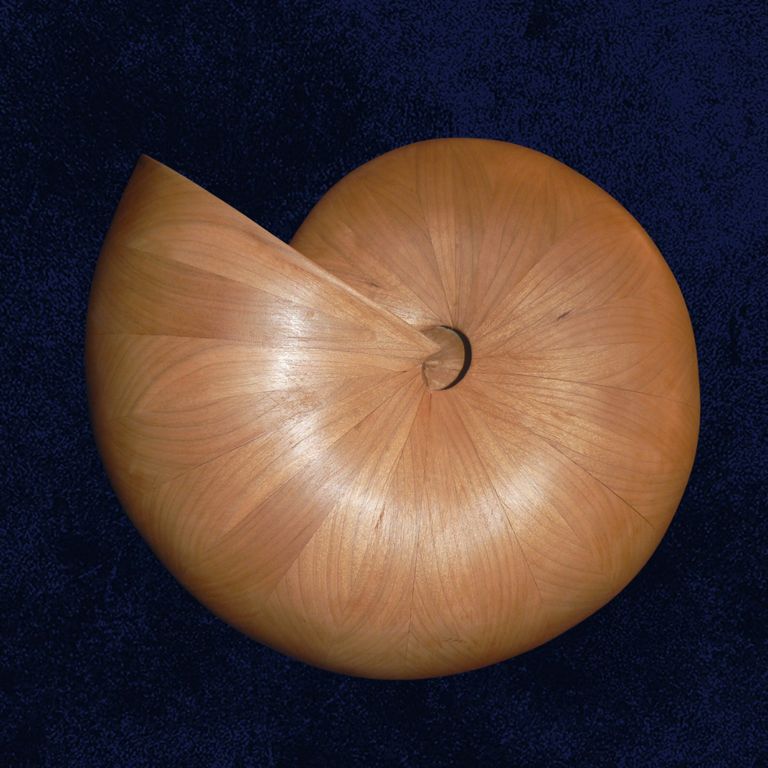 Coquille de merisier
en merisier
H. 25 cm, L.25 cm, E. 12 cm