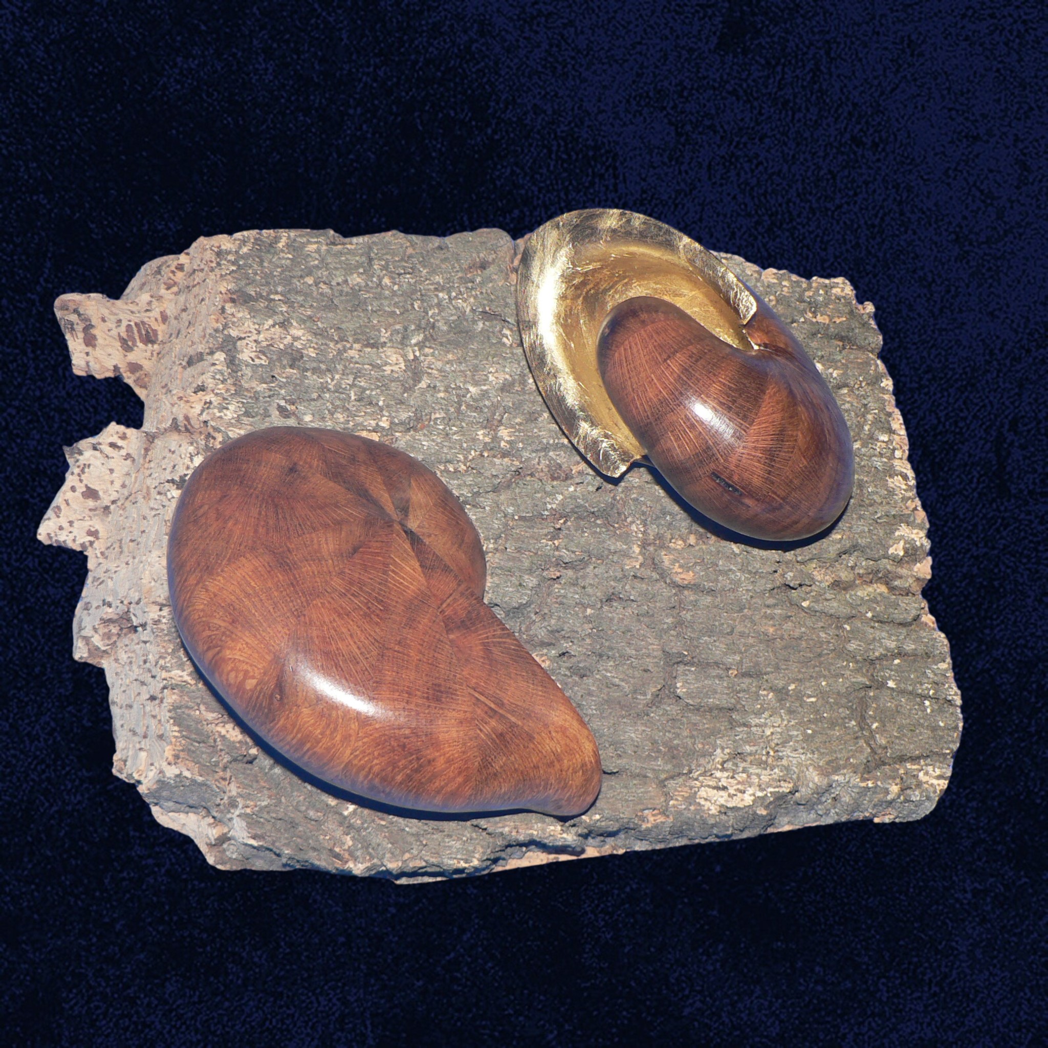 Coquille chene liege bleu